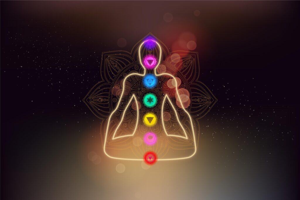 Why Is Arjuna Bark Considered As The Best Ayurvedic Herb? Read To Know